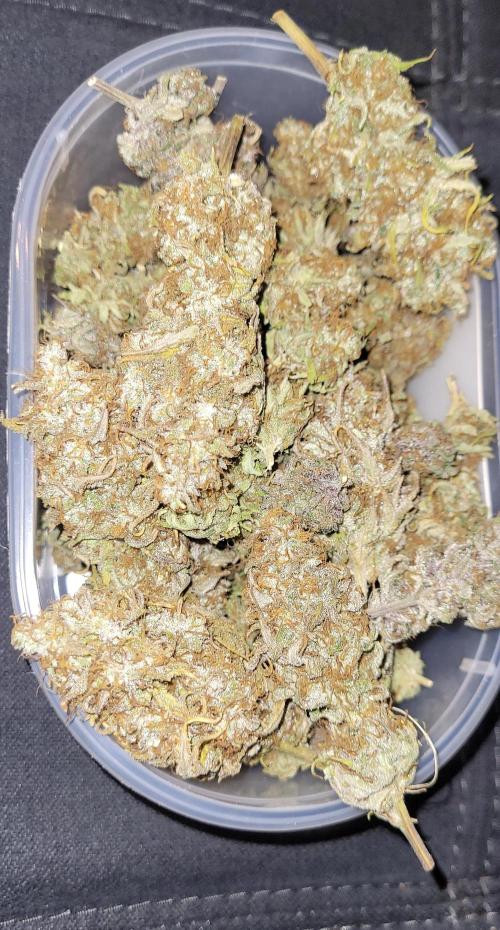 Dexter’s Growbroratory. Week 18 - Dry