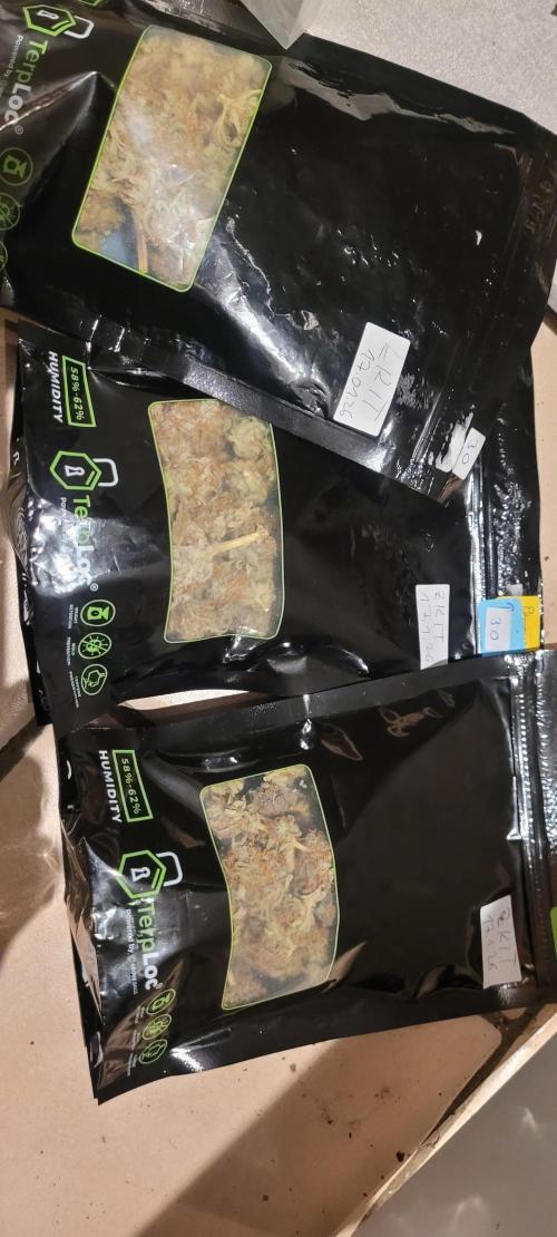 Dexter’s Growbroratory. Week 18