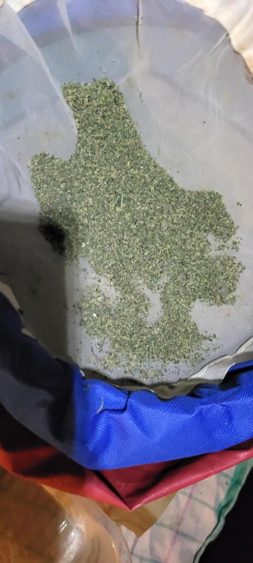 Yellowbeard's Hidden Stash. Week 16 - Starting material