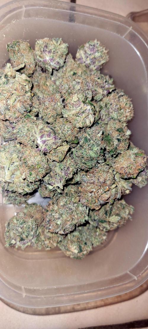 Smells like Terpvana. Week 18 - Dry