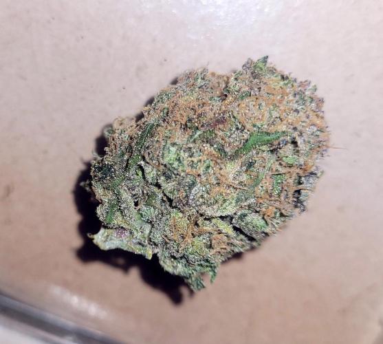 Smells like Terpvana. Week 18 - Dry