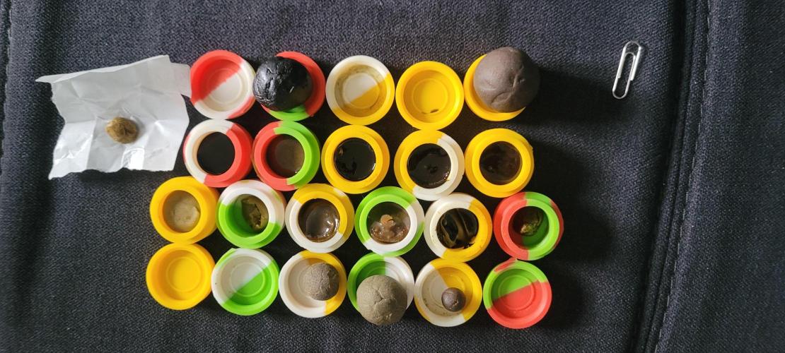 Random Pics. Week 23