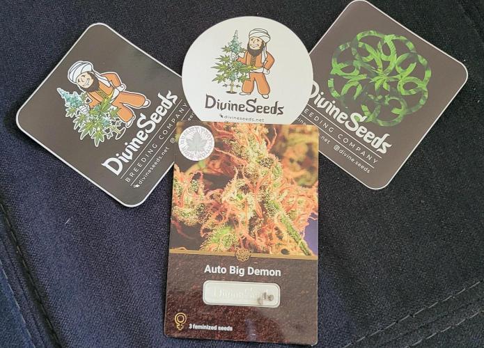 Random Pics. Week 23