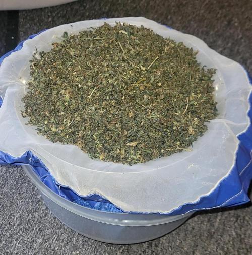 Random Pics. Week 23