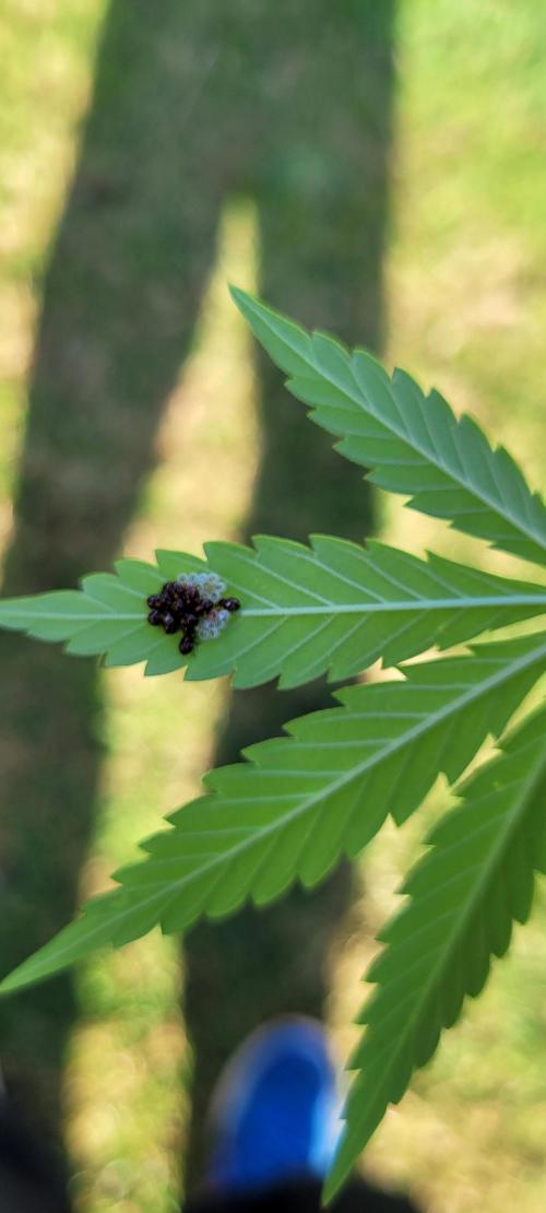 Random Pics. Week 23