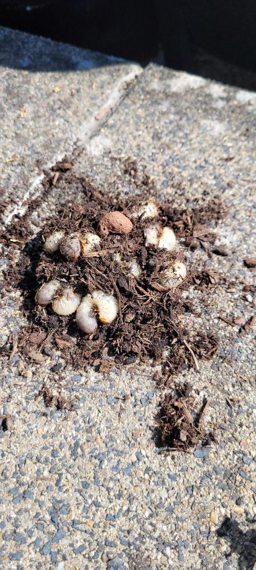 Random Pics. Week 23