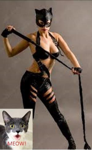 Comment by TruTraTri photo #1