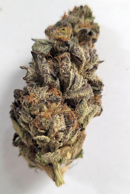 Rhea - Demon In Your Dreams. Week 22