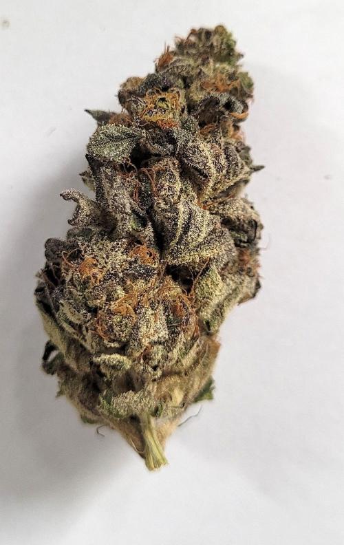 Rhea - Demon In Your Dreams. Week 22