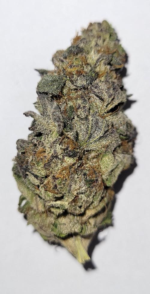 Rhea - Demon In Your Dreams. Week 22