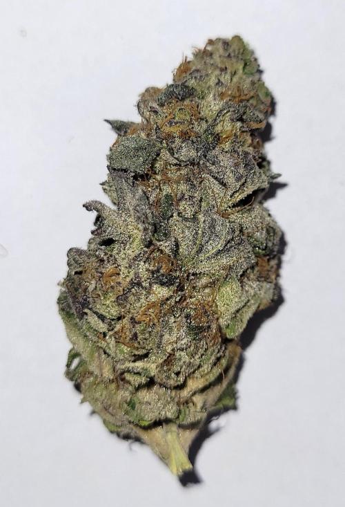 Rhea - Demon In Your Dreams. Week 22