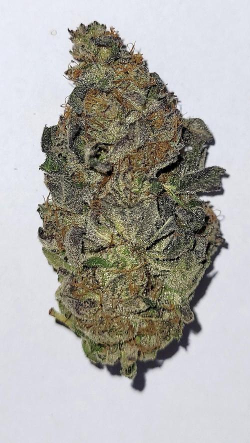 Rhea - Demon In Your Dreams. Week 22