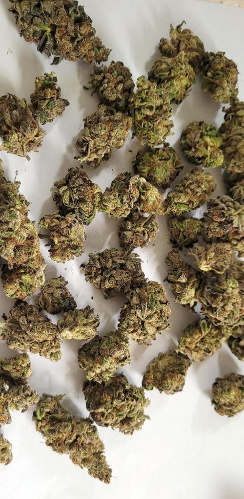 Rhea - Demon In Your Dreams. Week 22