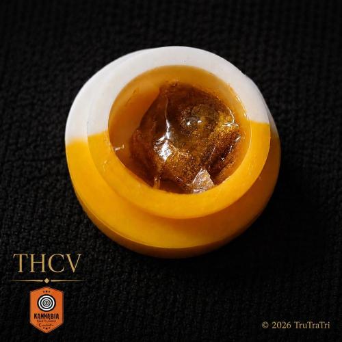 V:The Series - They Came for the Harvest. Week 15 - Rosin