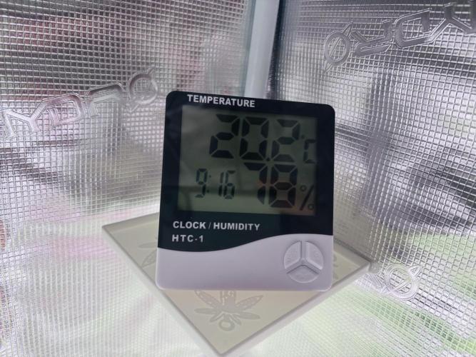 Sweet Gelato and Kush Auto. Week 4