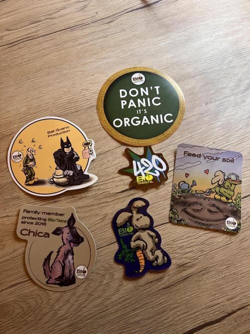 Super Buff Cherry #26 Cut. Week 7 - 01.12. F30