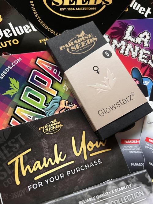 Glowstarz- Paradise Seeds. Week 0