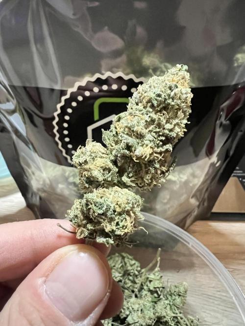 Interview - Biotabs Grower Community. Week 1