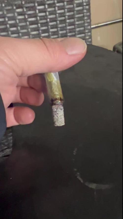 Blueberry Zkunk - Grounded Genetics