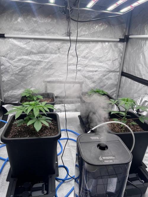 RS11 - F1 HYBRID. Week 3