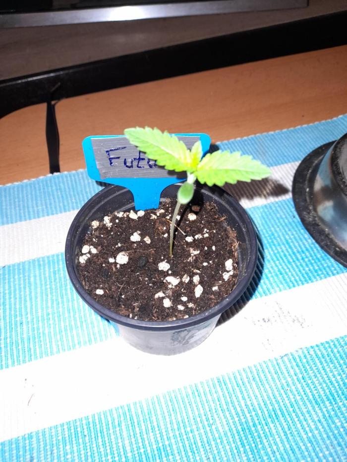 New Start 2026. Week 1