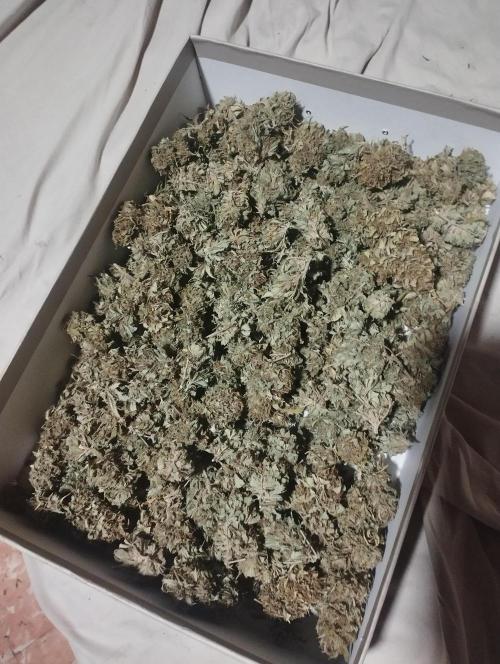 KLPx22.  '25. Week 26