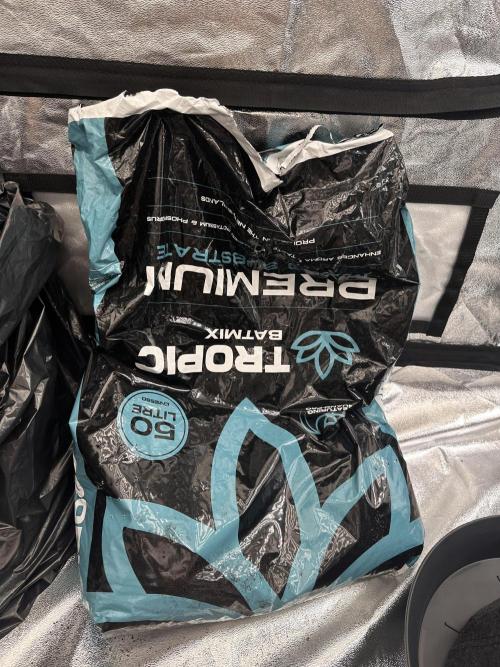 Frosteez Farmz Slurpeez Auto. Week 0