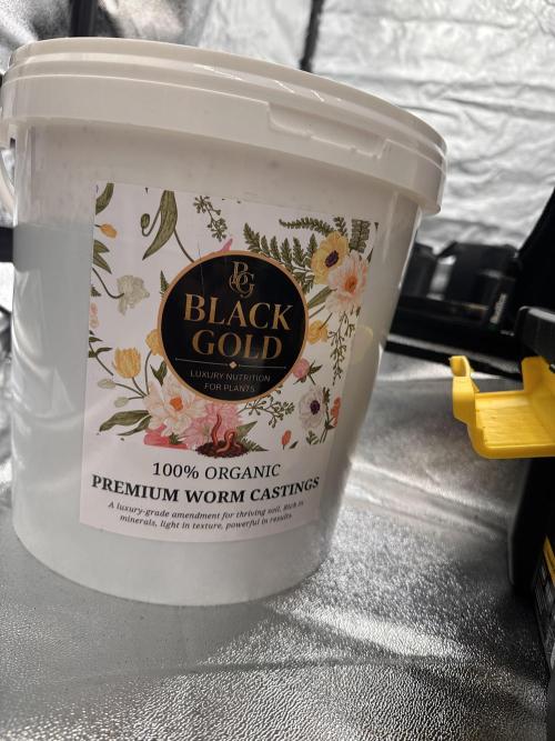 Frosteez Farmz Slurpeez Auto. Week 0