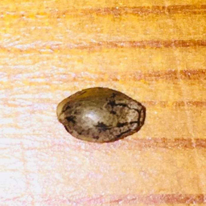 Radom find. Week 1 - Girl please