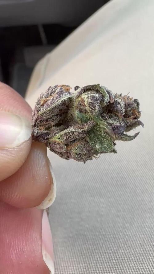 SolFire or no Fire