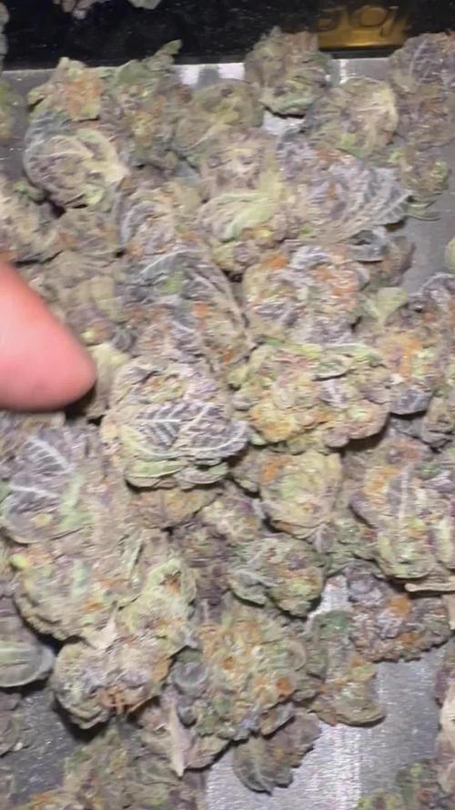 SolFire or no Fire