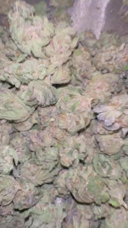 SolFire or no Fire