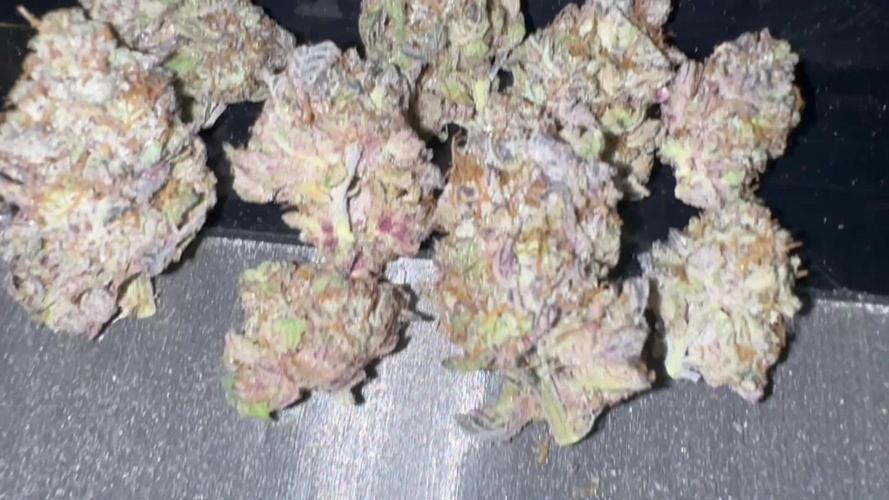 Pablo’s and MBR x GP