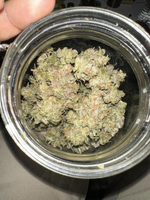 Lemon Mandarin- 42 fast buds. Week 15 - Jarred after 5 days of drying.