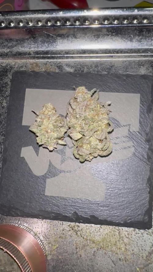 Cap Junky S1