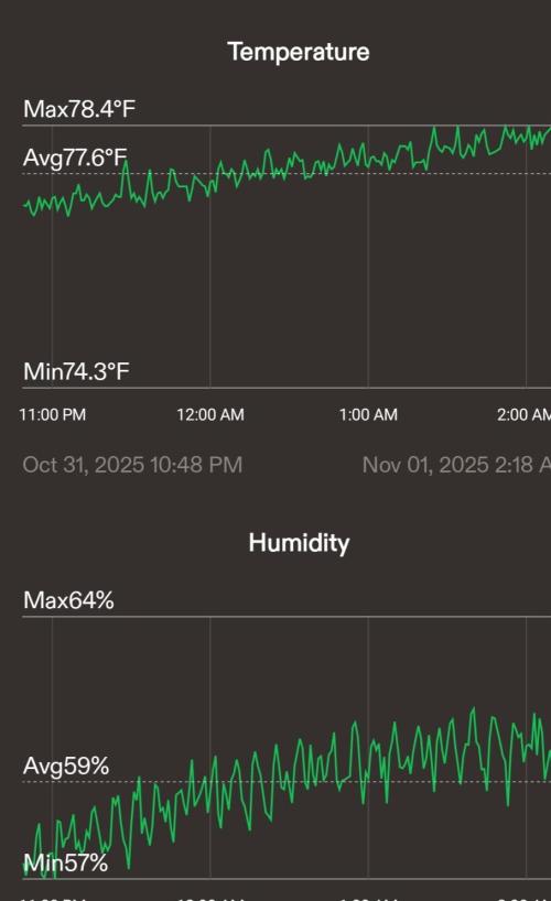 Lava Cake Automatic by Zamnesia. Week 6