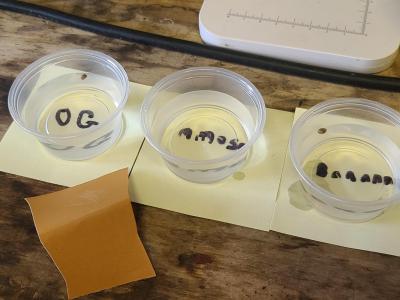 Comment by Sapphire9352 photo #1