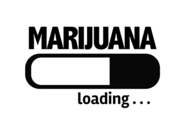 Lava Cake Automatic by Zamnesia. Week 13