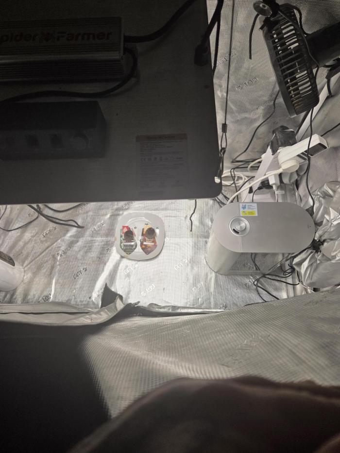 Total organic. Week 0 - Time for a new run 