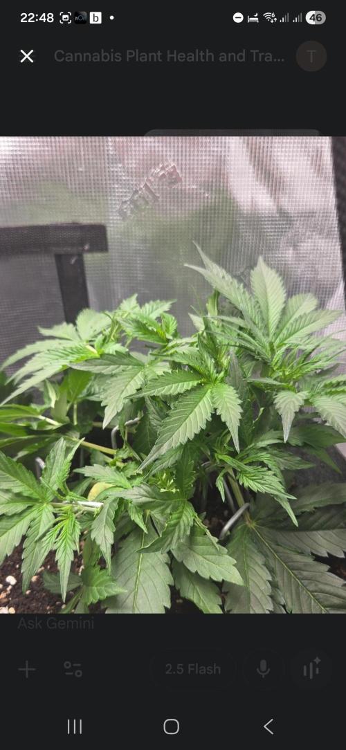 Total organic. Week 5