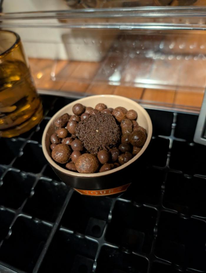 Challah Cake. Week 0 - Roughly 24 hours after plated paper towels.