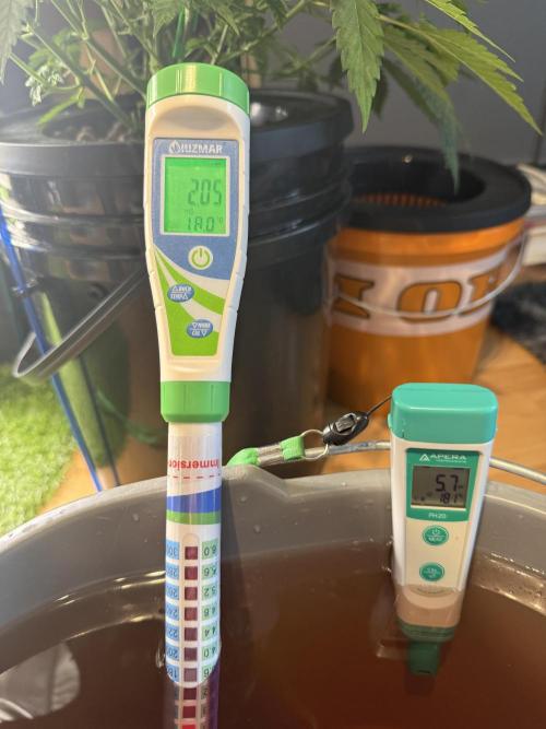 First (R)DWC Grow Pineapple Kush. Week 8 - Jeden Tag mind. Parameter messen!
Thats it :)