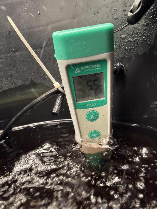 First (R)DWC Grow Pineapple Kush. Week 1
