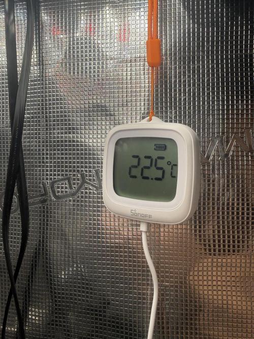 First Time DWC Pineapple Kush Grow. Week 2 - Temperaturanzeige Resservoir !