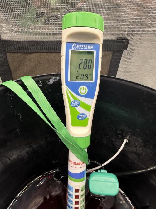 First Time DWC Pineapple Kush Grow. Week 3