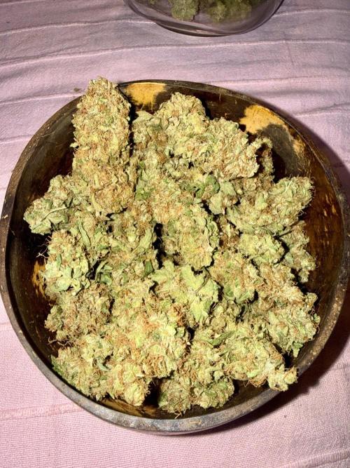 Pineapple Kush. Week 9