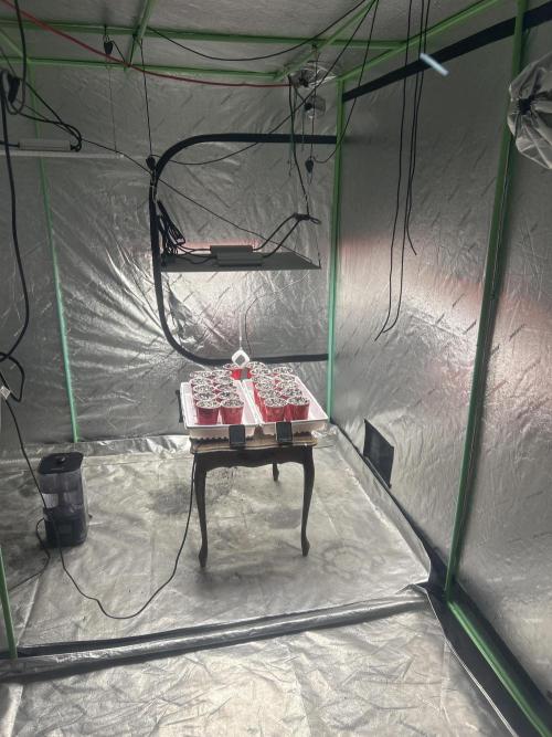 FIRST GROW 2026. Week 0 - Setup for now 