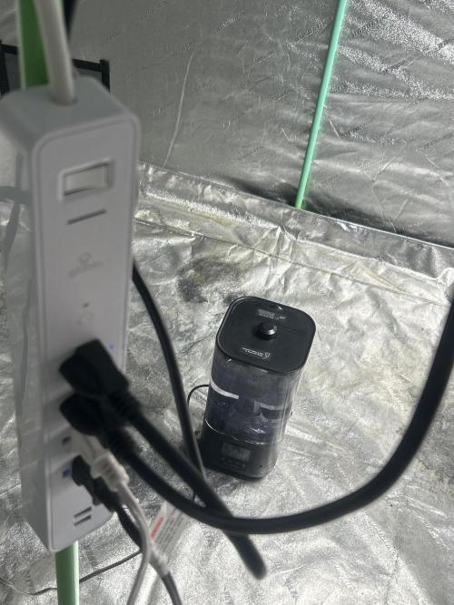 FIRST GROW 2026. Week 0 - Ac infinity t3 Humidifier, Globe Smart Power Strip