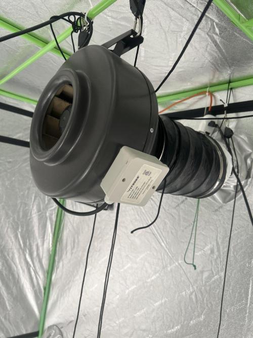 FIRST GROW 2026. Week 0 - 8 inch vivosun exhaust fan