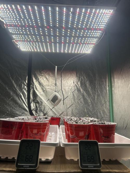 FIRST GROW 2026. Week 0 - BloomPlus XP4000, 4 Govee Hygrometers 
